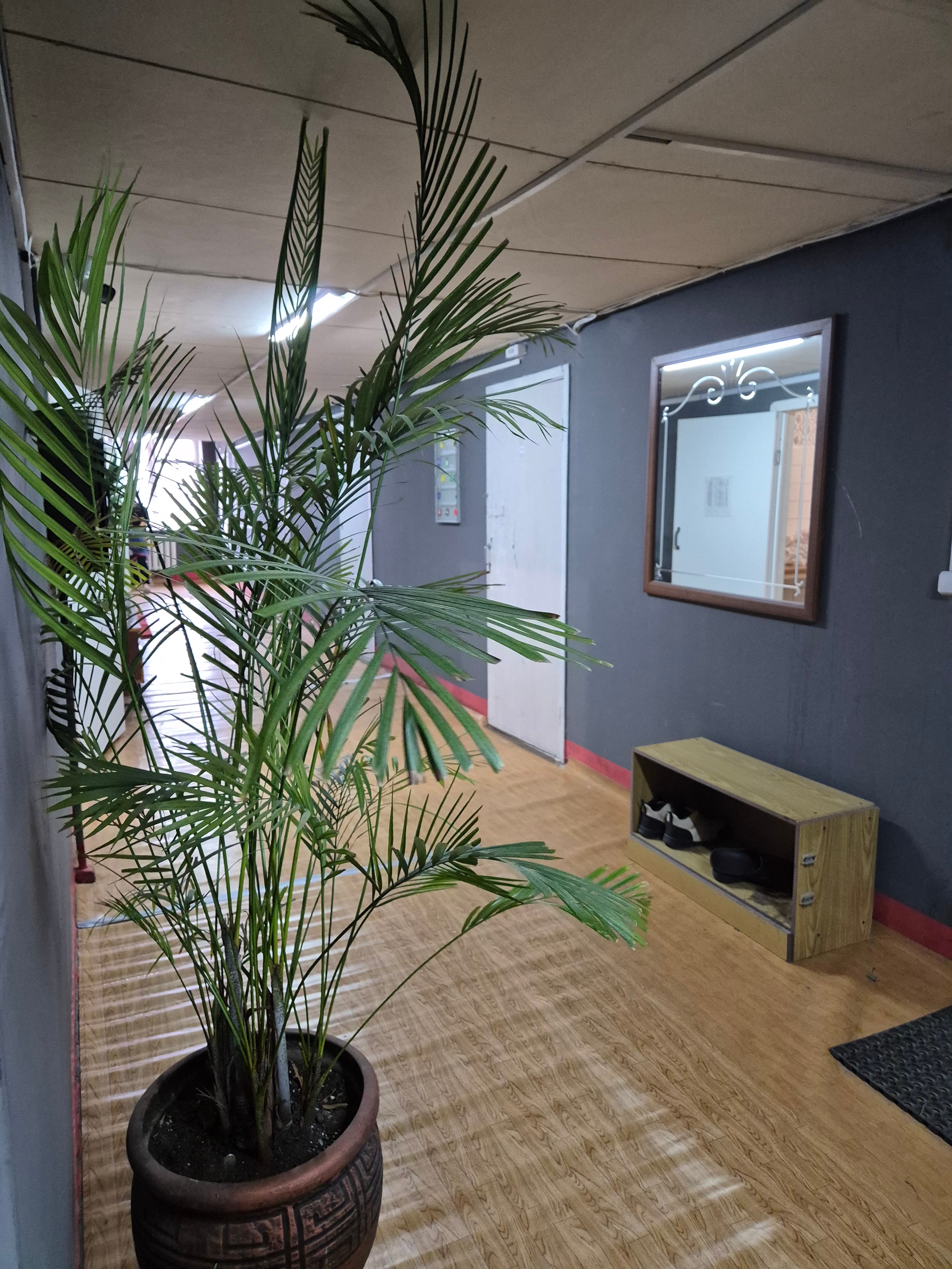 Превью 4